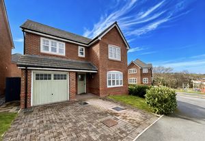 Photo 31- click for photo gallery